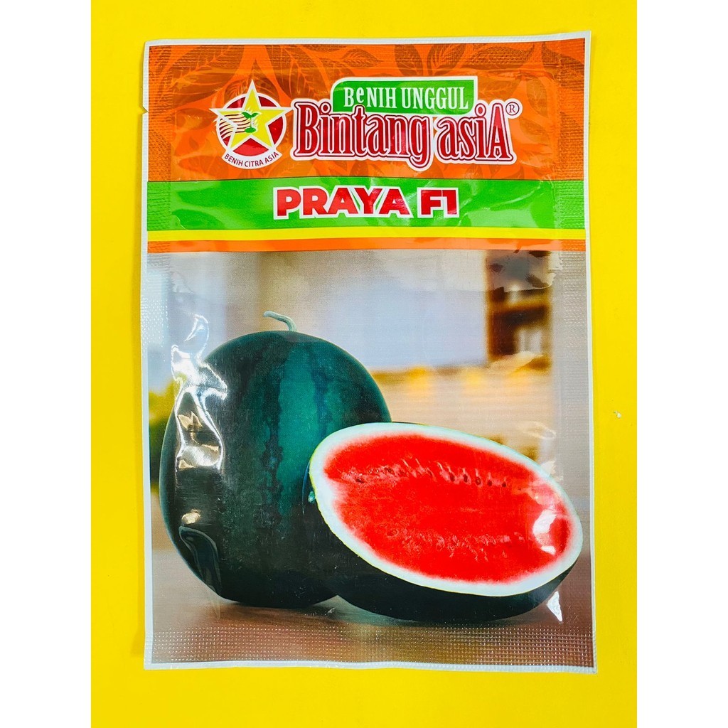 Terlaris!! Benih semangka berbiji PRAYA F1 isi 20gr dari BINTANG ASIA