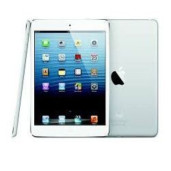 iPad mini WiFi + Cellular