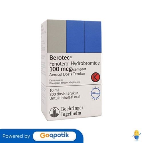 Berotec Mdi 100 Mcg Inhaler