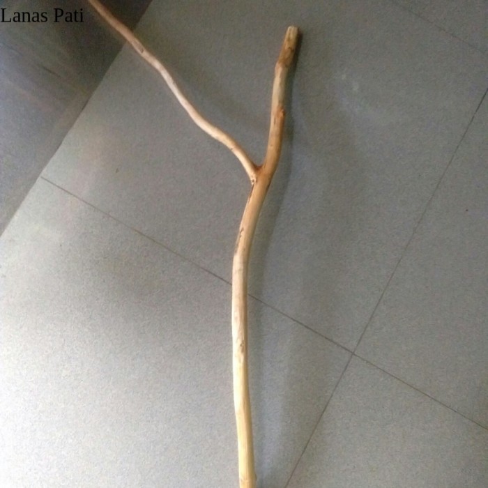 

READY STOK Ranting kayu jati cabang 50 cm - ranting kayu macrame-prakarya ranting XD5