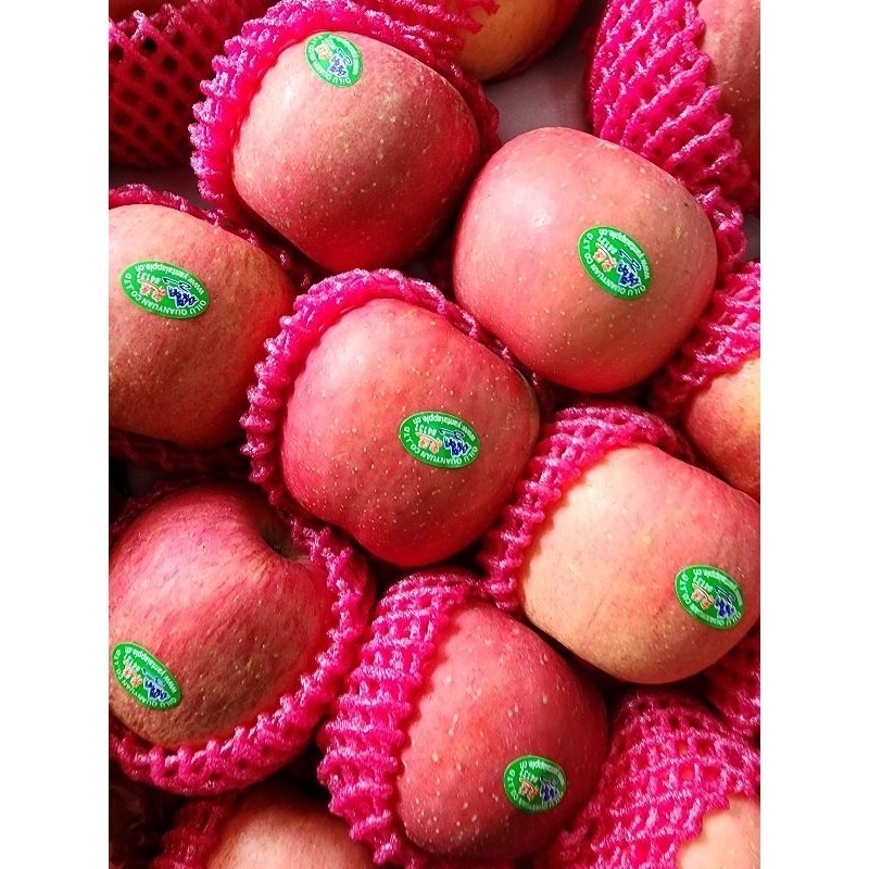 

Apel Fuji ±800-900gr