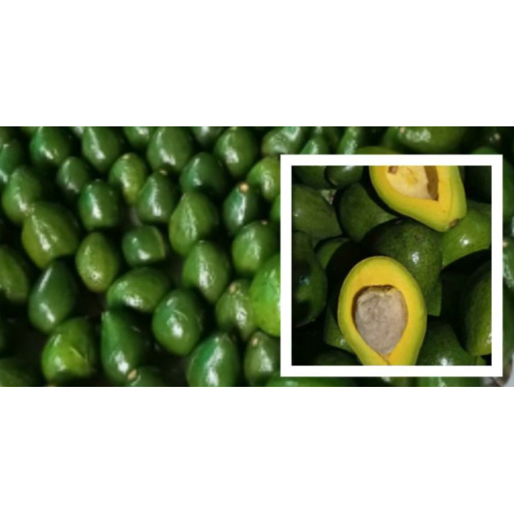 

Alpukat Mentega 1kg