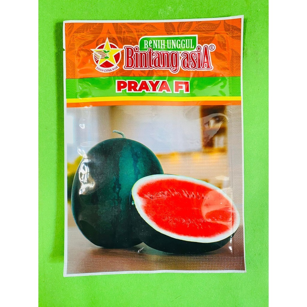 Terbaik Benih semangka berbiji PRAYA F1 isi 20gr dari BINTANG ASIA