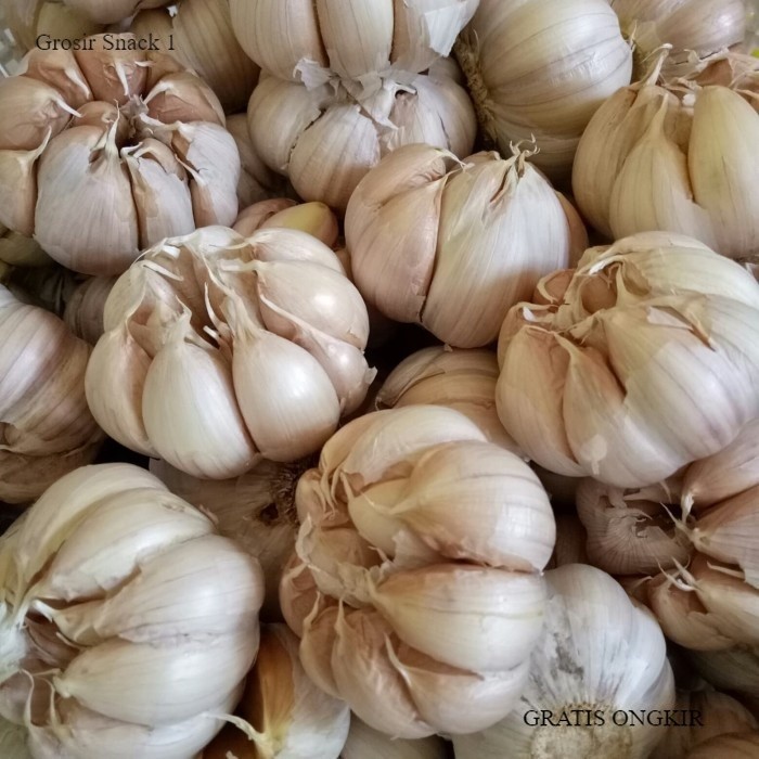 

Terbaru bawang kating bawang putih 1kg termurah bawang sinco bawang putih kating 1kg bersih