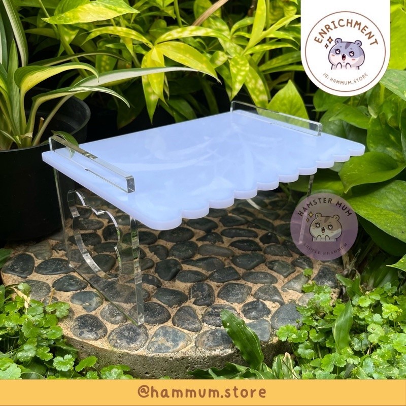 Platform Hamster Akrilik | Meja Akrilik Hamster | Meja Hamster | Acrylic Platform