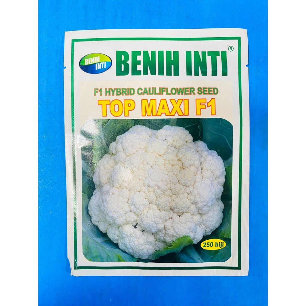Benih bunga Kol cauliflowerTOP MAXI F1  isi 250 biji  dr Dinasty Inti