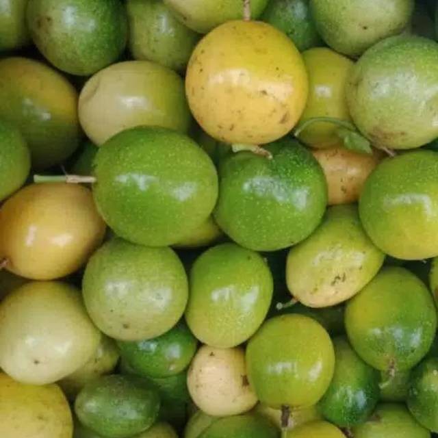 

Buah Markisa Hutan Fres Segar 1 Kg Dadakan