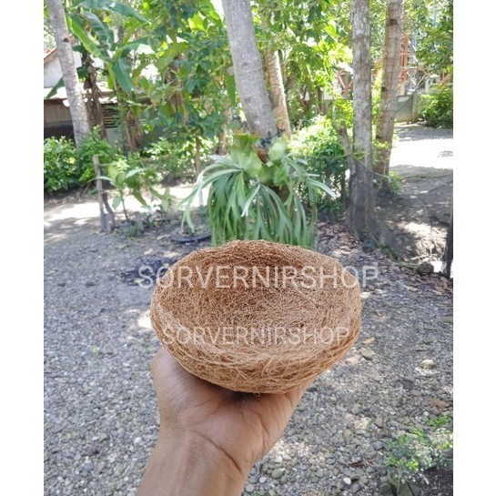 TERBARU..Sarang burung sabut kelapa burung murai parkit perkutut prenjak sabut kelapa