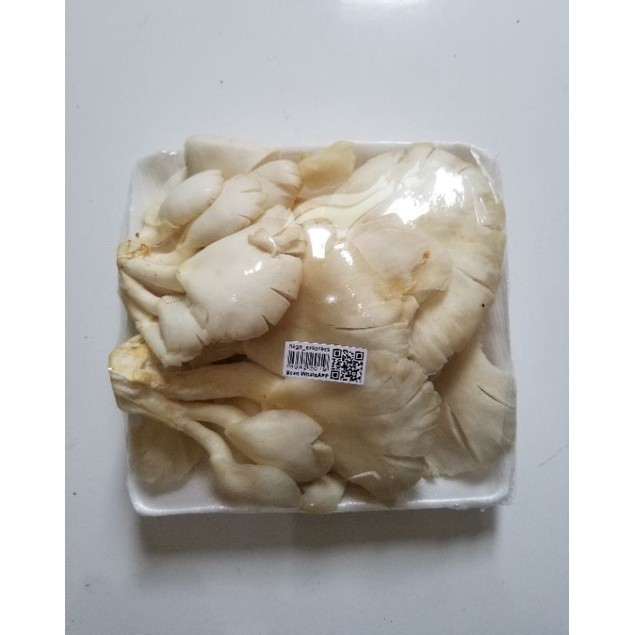 

Jamur Tiram 1 Pack