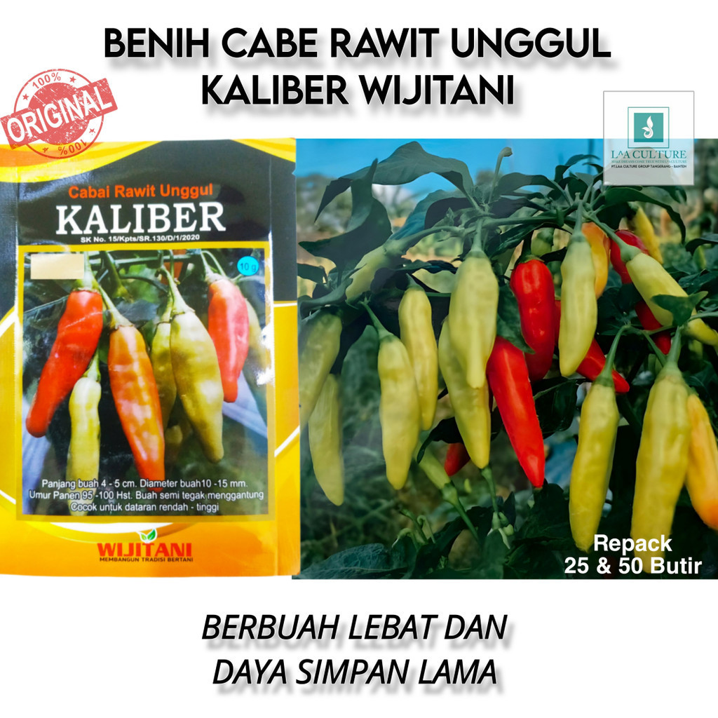 Benih Cabe Rawit Setan Kaliber Original WIJITANI Kemasan Repack