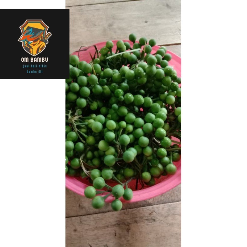 

BUAH TAKOKAK MURAH PISAN 500GRAM