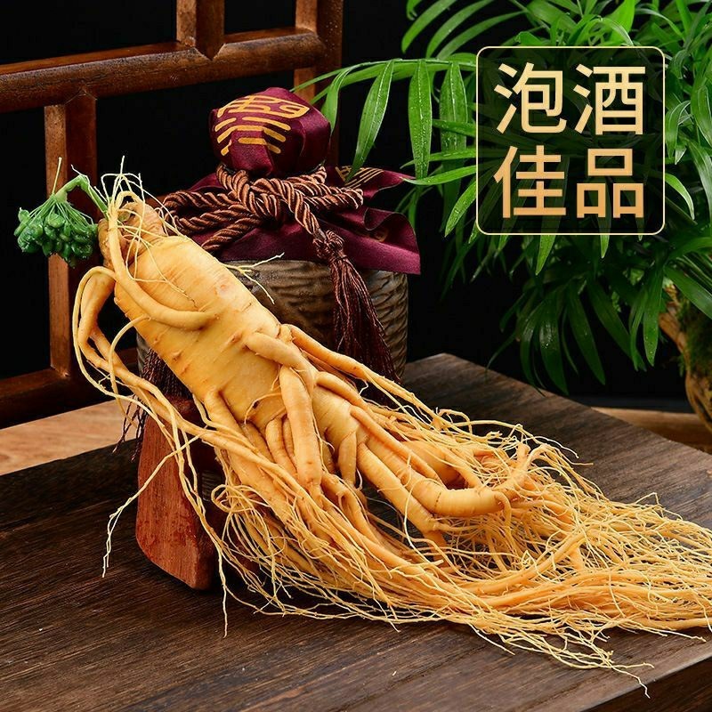 

(200 gram) Ginseng China Asli Import kemasan Vacuum / Ginseng Fresh