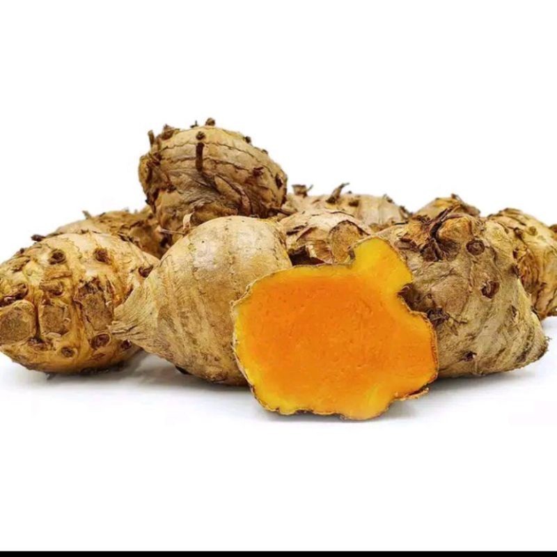 

COD - Temulawak segar organik 500gram kang store ready