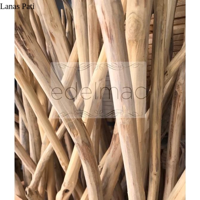

Ranting Kayu Jati | Ranting Kayu Macrame Ukuran Pendek - 20cm Murah XD8