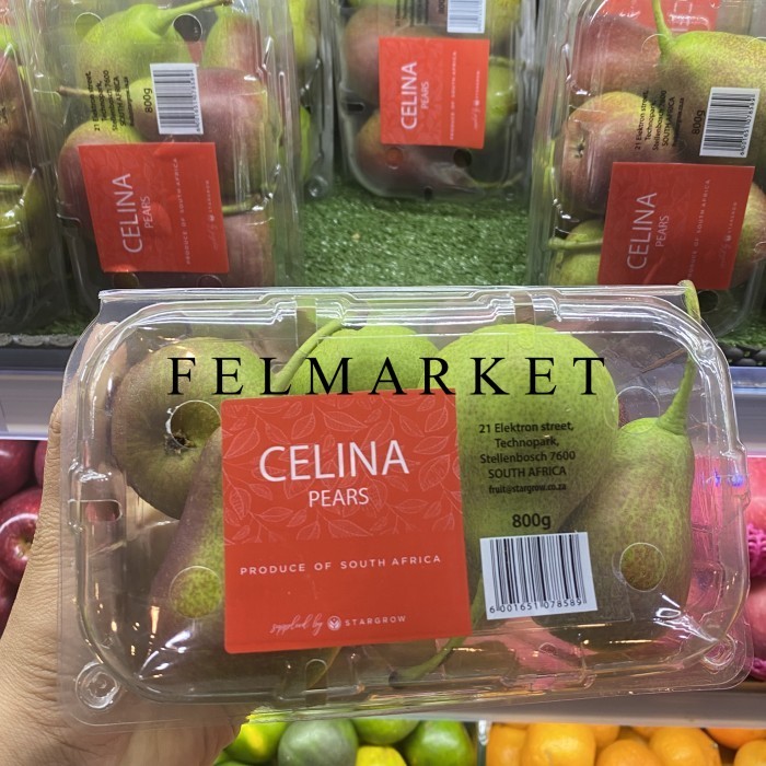 

Buah Pear Celina Fresh Manis / 800 grm / Pack