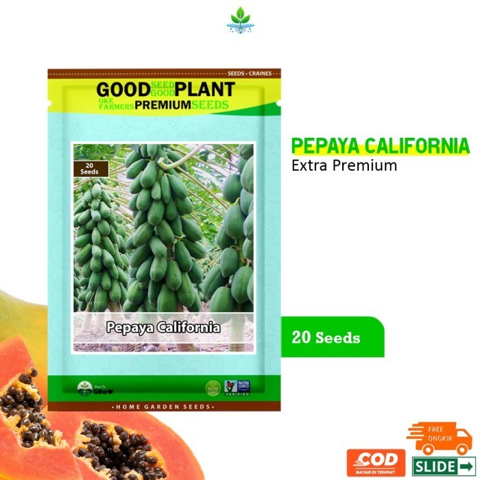 Extra Premium - 20 Biji Benih Bibit Pepaya California Unggul F1