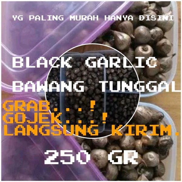 

Diskon!! BAWANG PUTIH HITAM TUNGGAL-SIUNG LANANG JANTAN-BLACK GARLIC 250GR