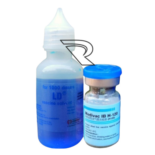 Vaksin Ayam Pencegah Aratan Gangguan Pernafasan Vaksin Medivac IB H - 120 Dosis 1000 Ekor Vaksin Aya