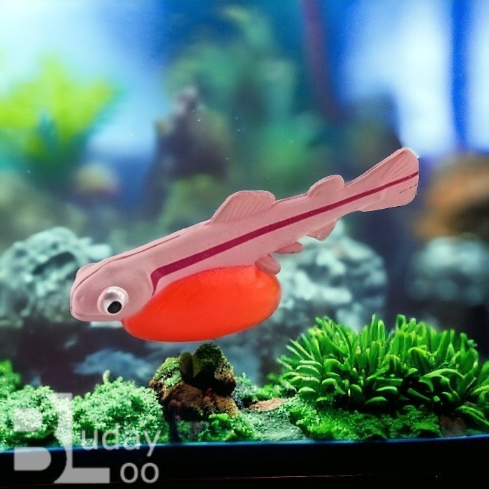 Figure Mainan Miniatur Siklus Hidup Bayi Ikan Salmon Baby Life Cycle Siklus Daur Hidup Ikan Salmon