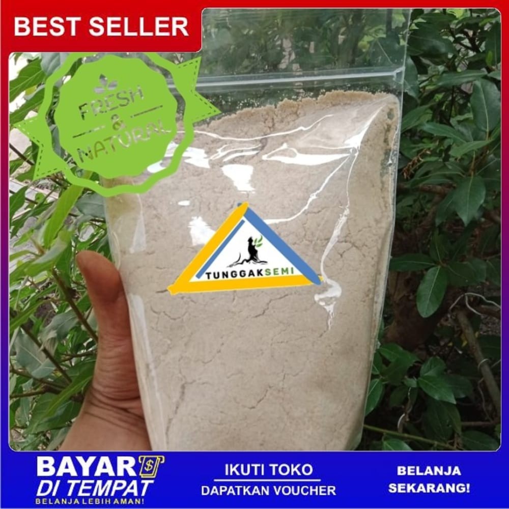 

OMH Terlaris Murah [250g] BIJI KELOR bubuk murni higienis