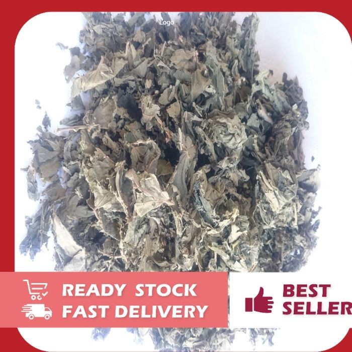 

[1kg] Promo Murah Kering Daun Kersen Siap Pakai