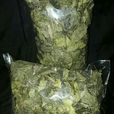 

COD Daun keji beling kering 500 grm Terlaris kang store ready
