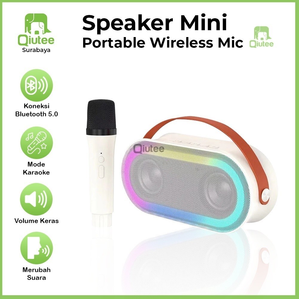 Two Build-in Speakers Speaker Mini Karaoke Bass RGB Hi-Fi Sounds Portable Wireless Karaoke