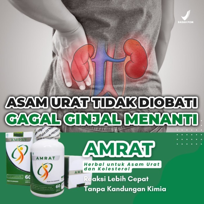 

Baru !! NigPRO 200 Capsul Obat Herbal Kolesterol Hipertensi Asam Urat Nig PRO