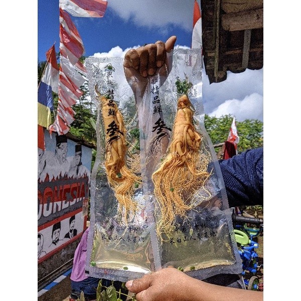 

(200 gram) Ginseng China Import Asli 100% Ukuran besar/ Panax Ginseng China asli kemasan vacum