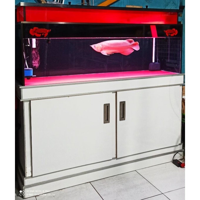 PROMO BIG SALE                  Ikan Arwana super red fullset aquarium dan accesoriesnya