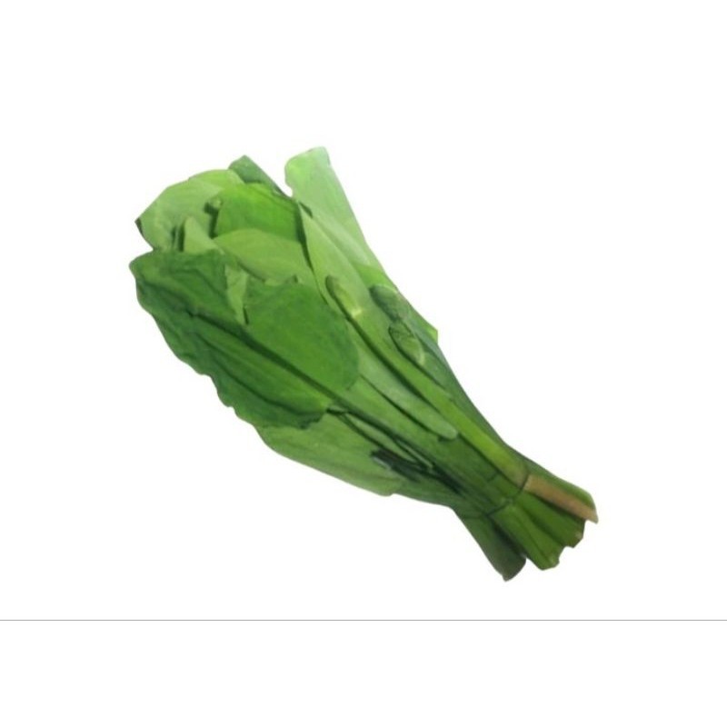 

Daun genjer 1 ikat fresh