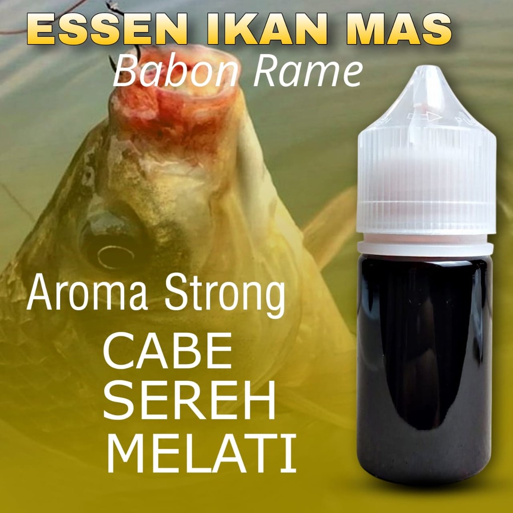 Essen Cabe Sereh Melati Asli , Essen Ikan Mas Paling Gacor, Essen Ikan Mas Babon Rame , Essen Ikan M