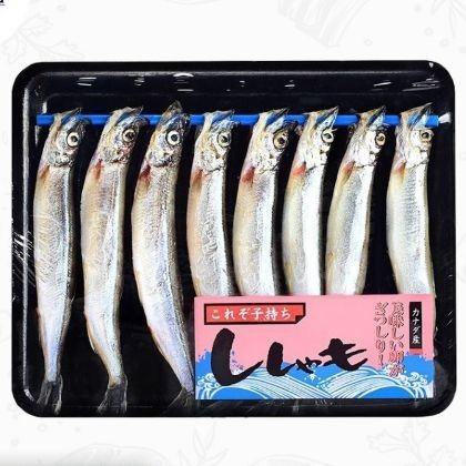 

IKAN CIPUNG (SHISAMO) ISI 8PCS