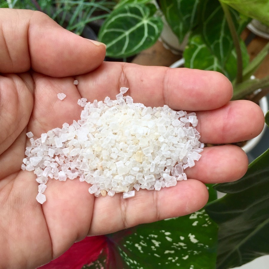 Pasir SILICA PUTIH Aquarium Pasir Aquaspace SILICA Halus  - 1 KG