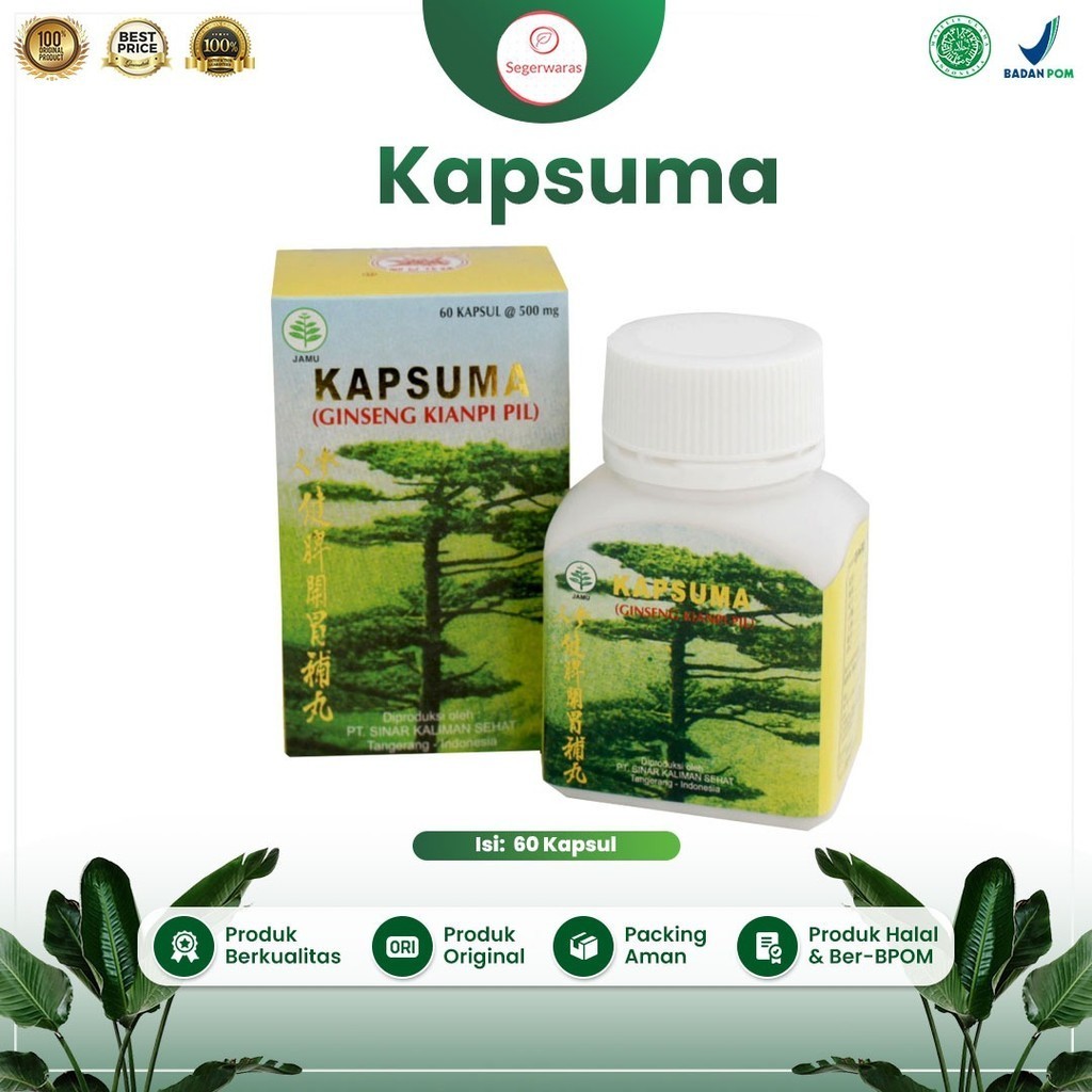 Kianpi Obat Penggemuk Kapsuma  Ginseng Kian pi Cina  Penggemuk badan dewasa - Penambah Nafsu Makan a