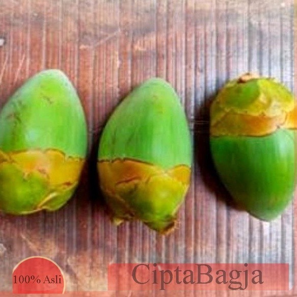 

Buruluk - Bululuk obat herbal - Obat kutil juga alternatif diabetes