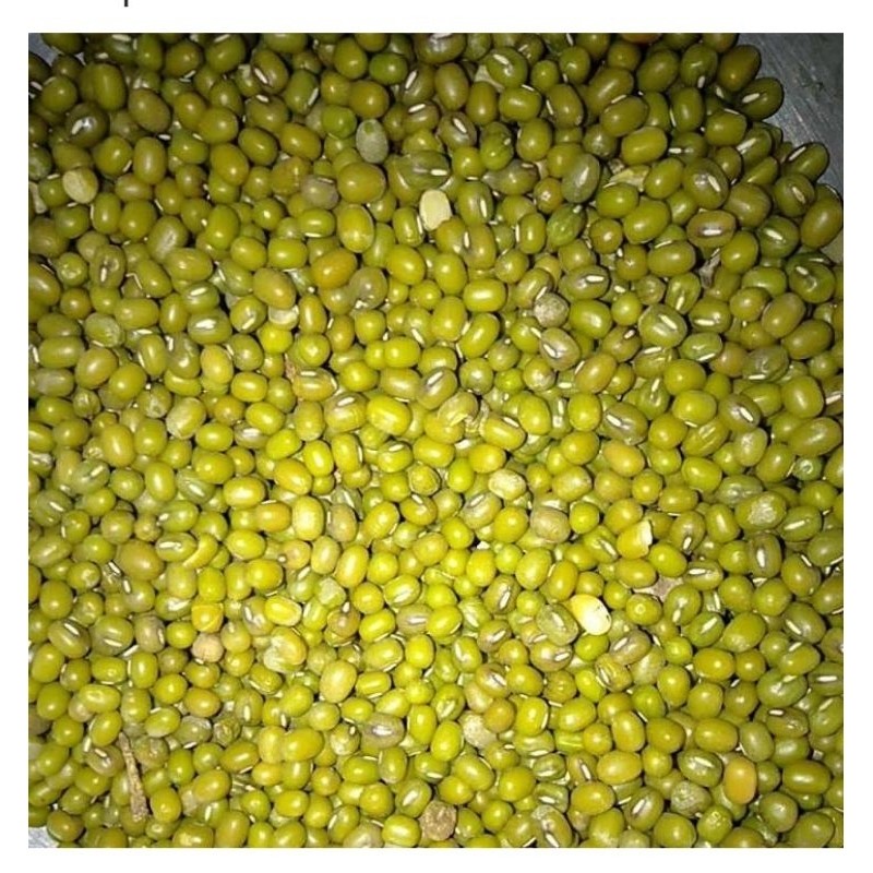 

KACANG HIJAU - ALF