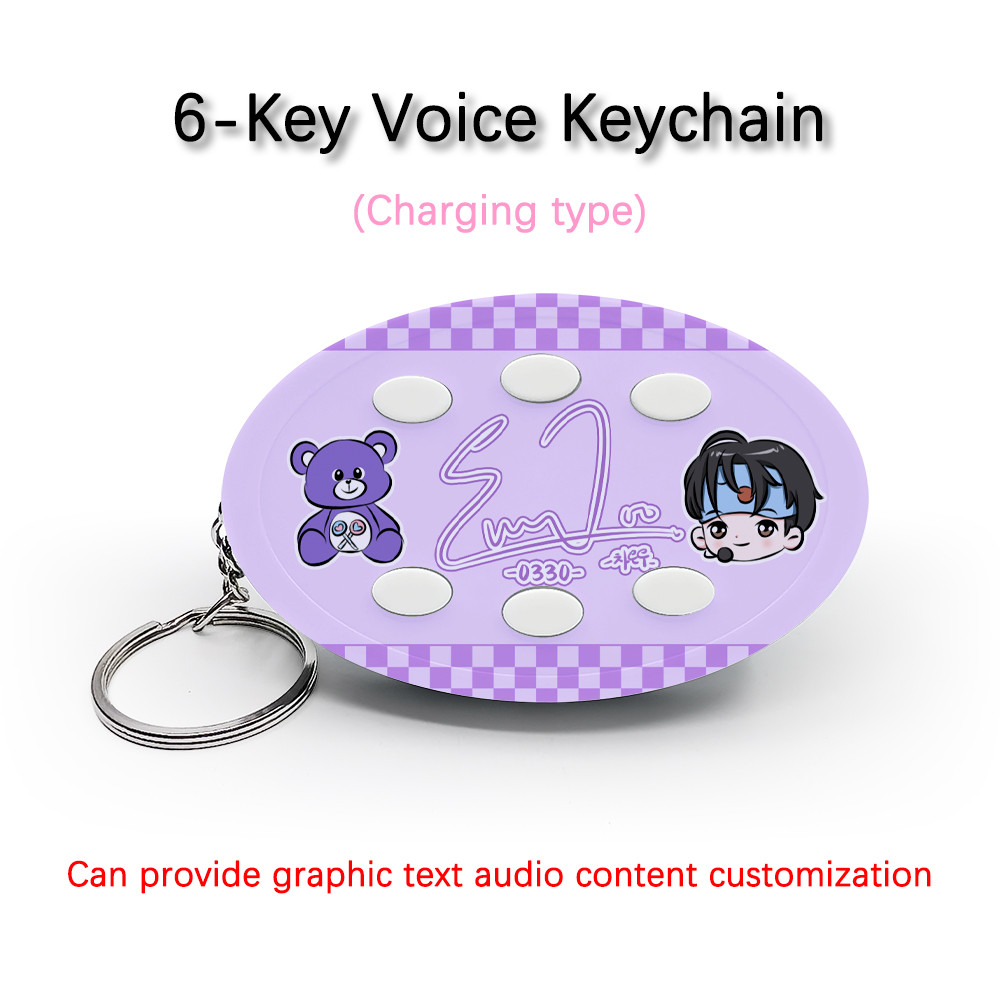 6-Key Voice Keychain For Astro Idol Cha EunWoo Voice / Picture Customization With Type-C Charging Ca