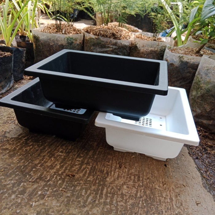 pot bonsai kotak plastik nkt 01, pot bonsai ceper murah bagus, tebel