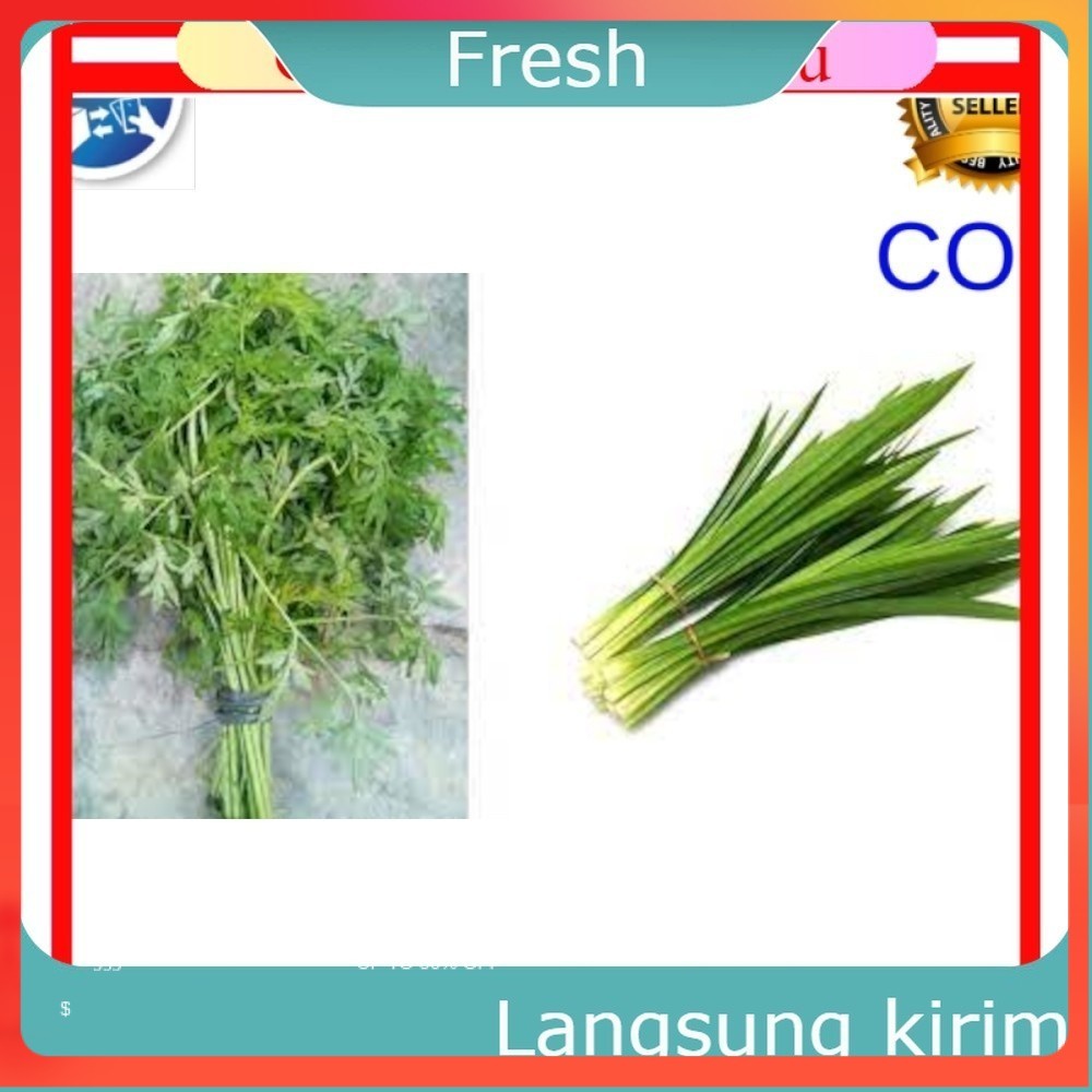 

Sayur per ikat Sayur Kenikir, Sayur Pandan Sayur Mayur Buah Buahan Bersih Fresh