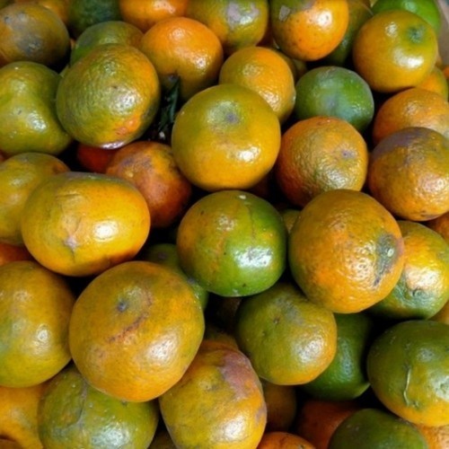 

Jeruk Manis 500gr - BEST Fresh Food