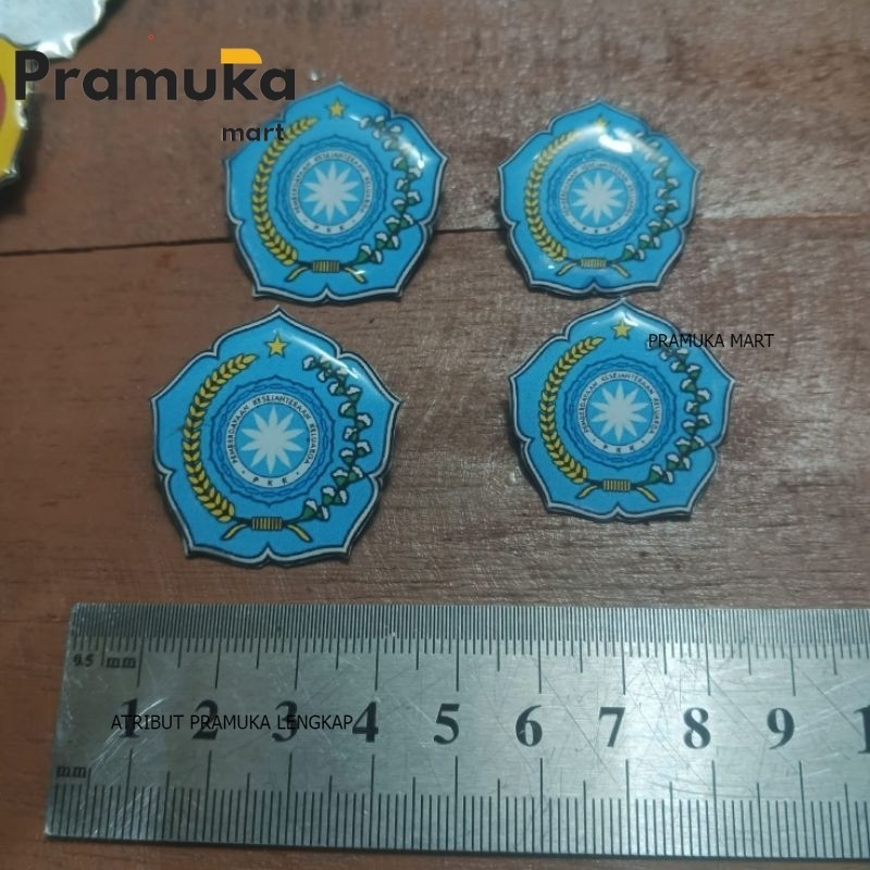 Termurah Pin Bros PKK Warna Biru Resin - Pin Aksesoris PKK Ready Stok