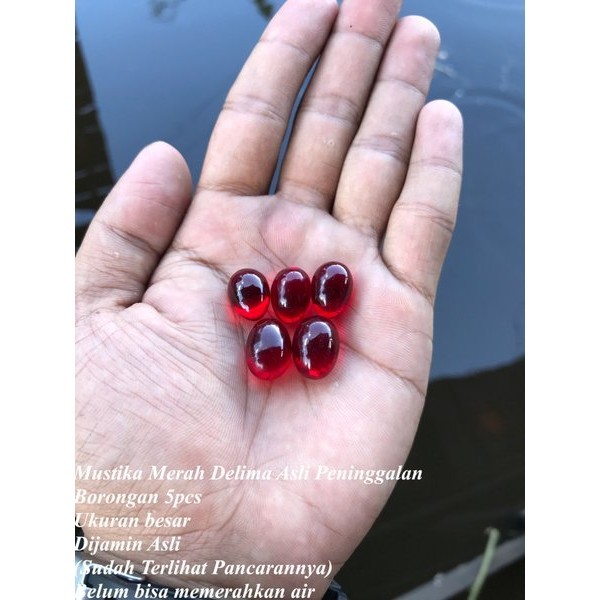 Batu Merah Delima Besar Asli dari Buah Delima Kalimantan 5pcs