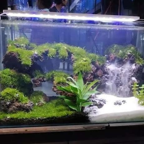 aquascape full set 40cm jadi tema waterfall/air terjun