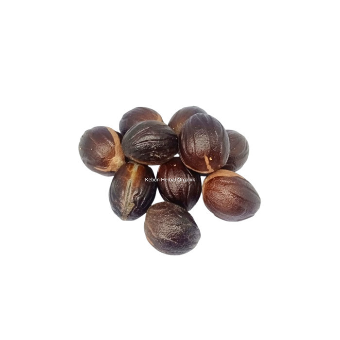 

KHO Biji Buah Pala Kering 500 Gram Pilihan