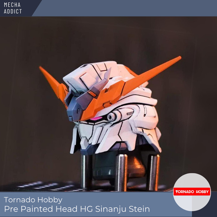 Tornado Hobby Color Resin 3D Print HG Sinanju Stein Head