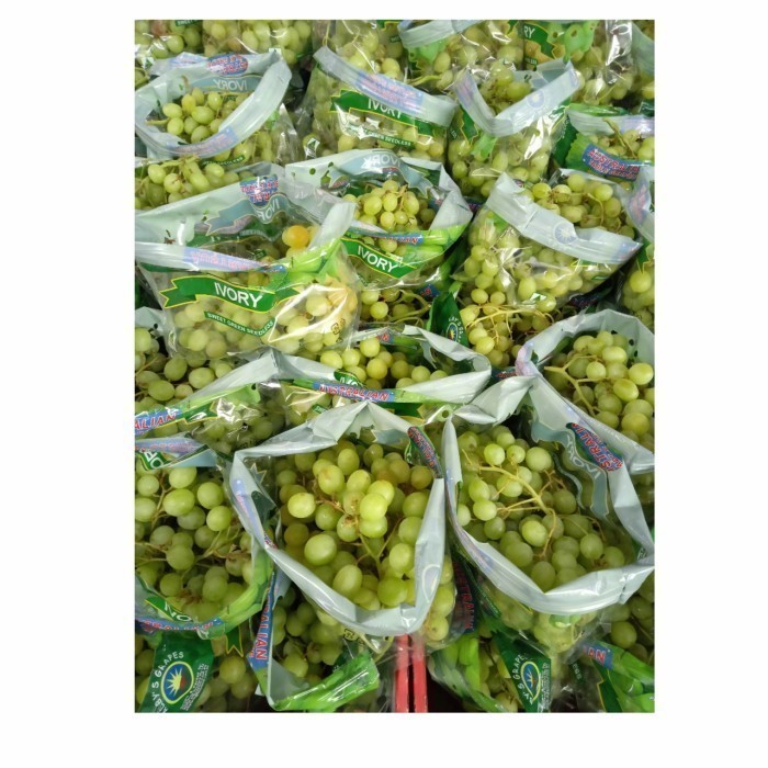 

Anggur Hijau Ivory Seedlees 1kg