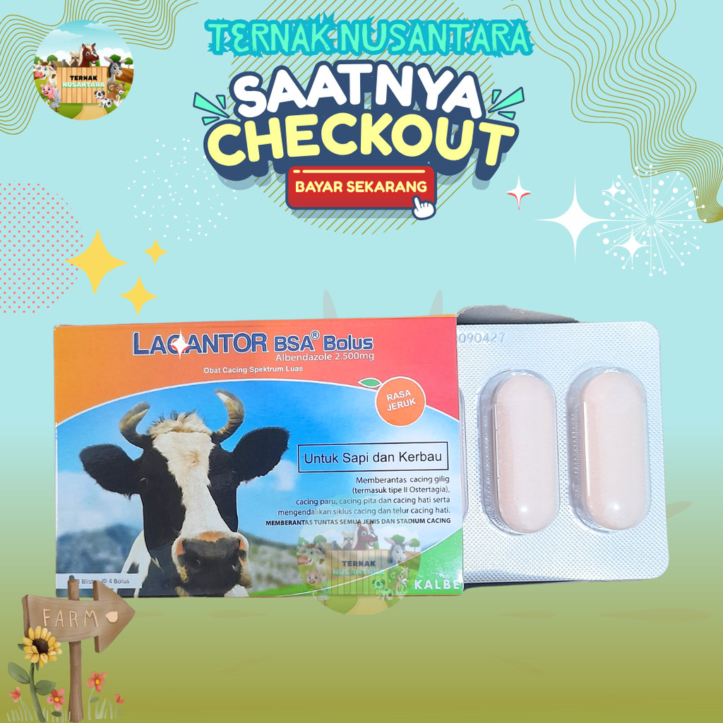 LAGANTOR BSA BOLUS - Obat Cacing Sapi Paling Ampuh