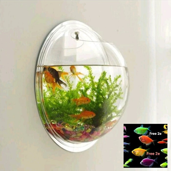 Aquarium ikan gantung. Aquarium dinding. 20cm. 1,8L. bahan akrilik.