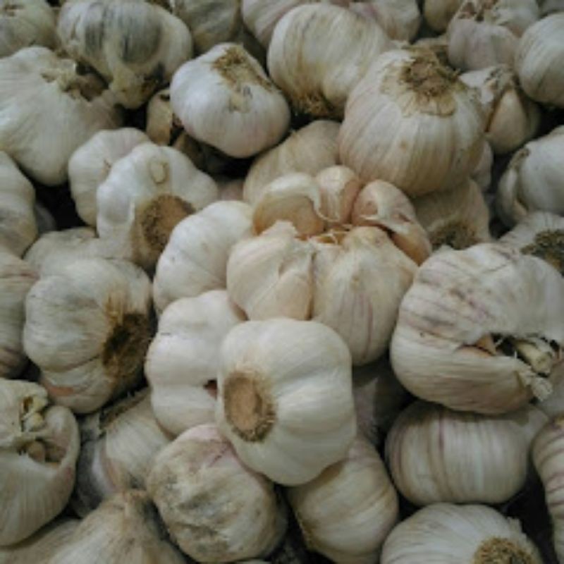 

Bawang Putih 250gr - FDY